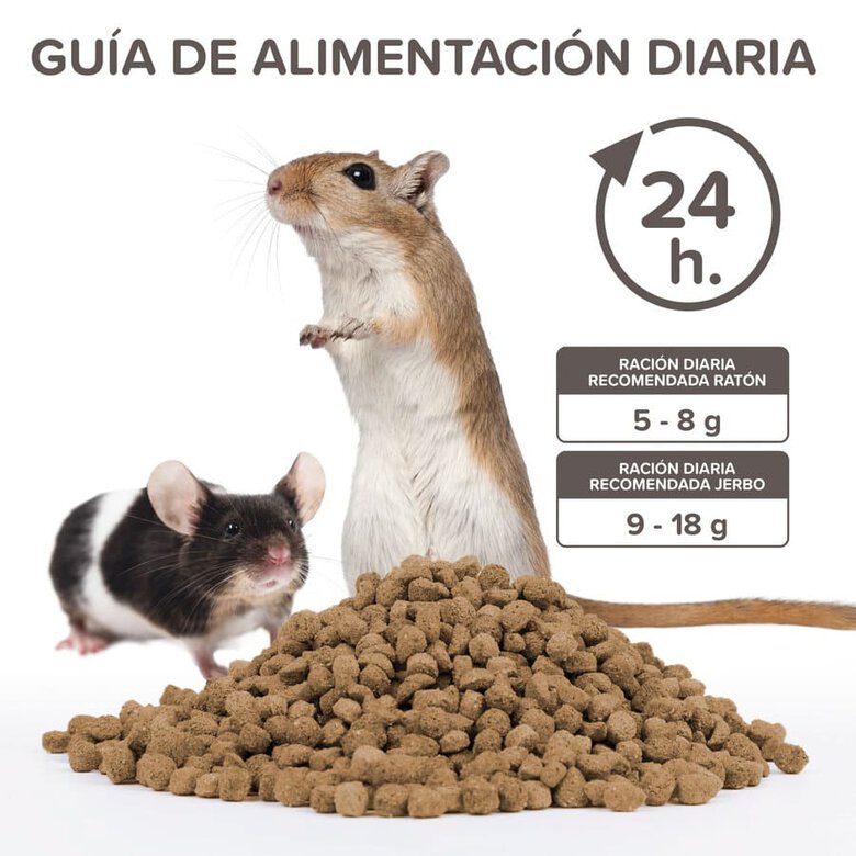 Beaphar Care+ Pienso para jerbos y ratones, , large image number null